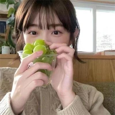 那年那人那片花海 封面