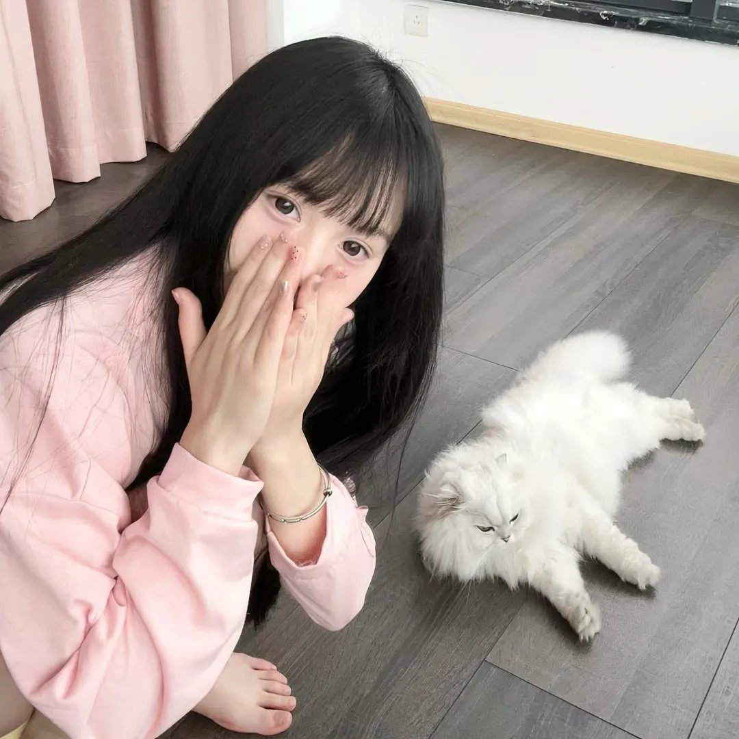 泰迪熊 封面